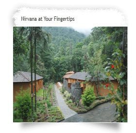 Blue Ginger Wayanad Resorts Esterno foto